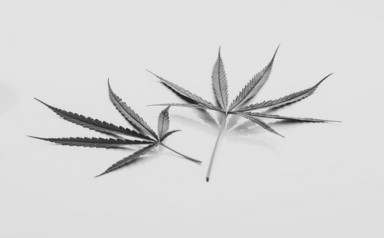 Лечение наркомании в Новокузнецке